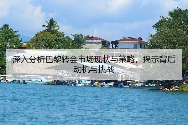 深入分析巴黎转会市场现状与策略，揭示背后动机与挑战